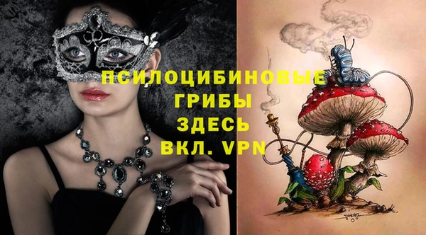 дживик Аркадак