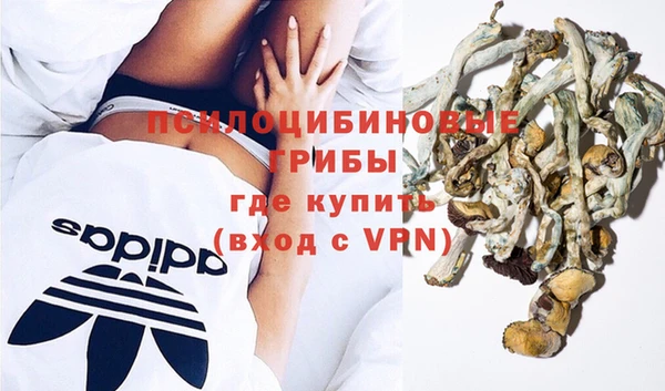 дживик Аркадак