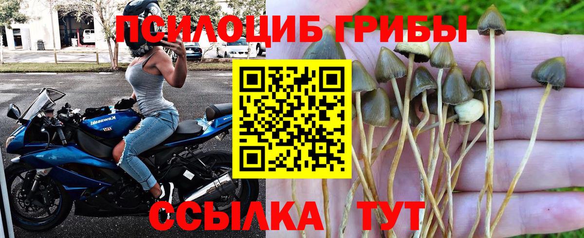 Псилоцибиновые грибы GOLDEN TEACHER  Вход с VPN  Галлюциногенные грибы ЛСД  Белая Калитва 