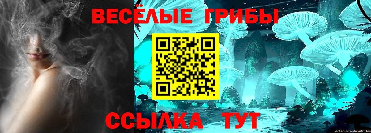 Псилоцибиновые грибы Psilocybe  Белая Калитва 